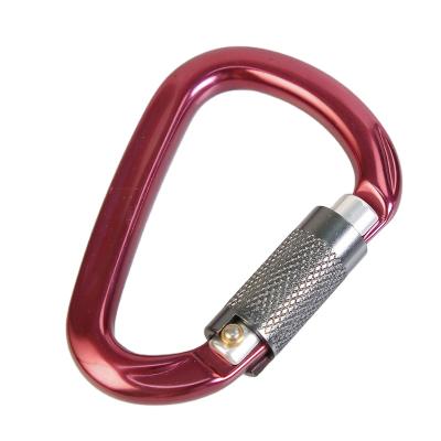 China Heavy Industry Factory Aluminum Safety 28KN D Type Carabiner Custom Durable Climbing Hook for sale