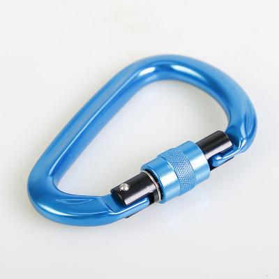 China Heavy Industry Safety Screw Custom 28kn D Shape High Tension Aluminum Carabiner Hook for sale