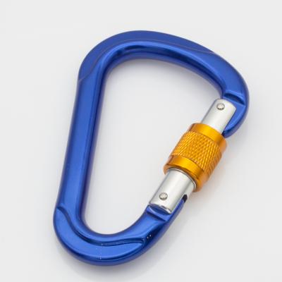 China Heavy Industry Custom 24KN Mounting Screw Carabiner D Type Door Locking Carabiner Hook For Outdoor for sale