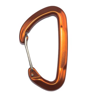 China General Industry 24KN Wire D-Type Carabiners Door Hangs Aviation Aluminum For Outdoor Camping/Climbing for sale