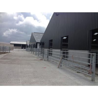 China Steel Structure of Traditional Prefab Cow House for Dairy Industry for sale