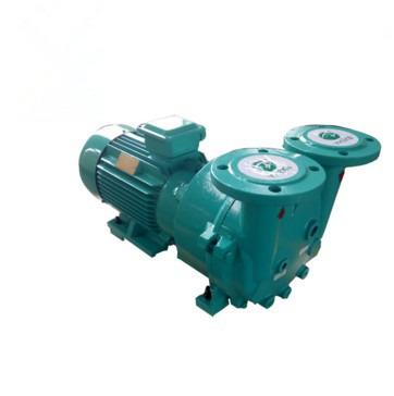 China Biofuel Industry 2BV5/2BV6 Liquid Ring Vacuum Pump for sale