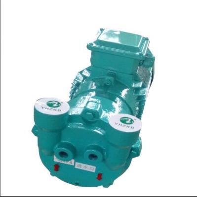 China Biofuel Industry 2BV2/2BV5/2BV6 Series Liquid Ring Vacuum Pump for sale