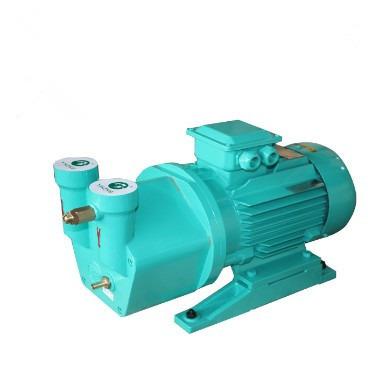 China Biofuel Industry SK-1.2 Liquid Ring Vacuum Pump Power Calculation for sale