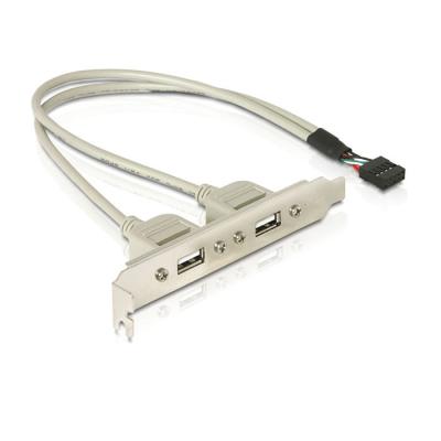 China 2 USB 2.0 Panel Female Connectors to 10 Pin 2.0mm , 35cm(12 inchs) length for sale