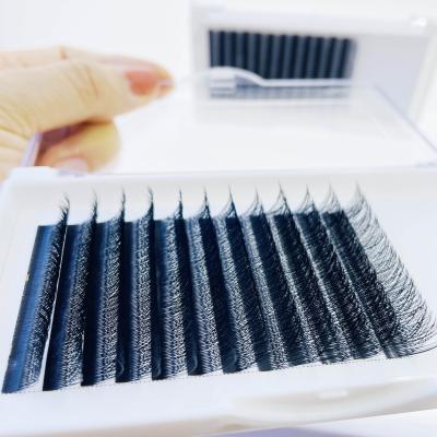 China Natural High Quality Long Easy Fan Lashes Individual Eyelash Extension YY Easy Fanning Eyelash Extensions for sale