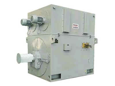 China Frequency Conversion Asynchronous Three Phase Motor 6-10KVA IP54/IP55 for sale