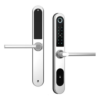 China Modern Wifi Smart Home Card Fingerprint Biometric Glass Door Lock,Smart Keyless Smart Door Lock For Door for sale