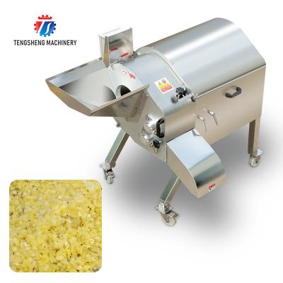 China 1000KG/H Fruit and vegetable large dicing machine fruit and fruit dicing machine commercial fruit and melon dicing for sale