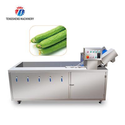 China 185KG Commercial fruit and vegetable washing machine stainless steel ozone disinfection bubble washing machine for sale