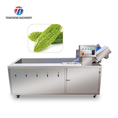 China 2.6KW Impurity Filter Fruit And Vegetable Washing Machine Citrus Apple for sale