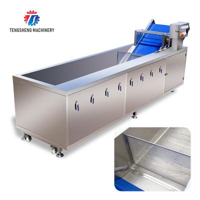 China Watercress Bubble Generating Vegetable Fruit Cleaning Machine , Apricot Commercial Vegetable Washer for sale