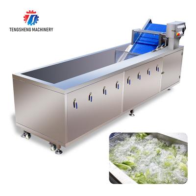 China Tengsheng Fruit And Vegetable Washing Machine Pests Eliminating Saint Dragon Fruit for sale