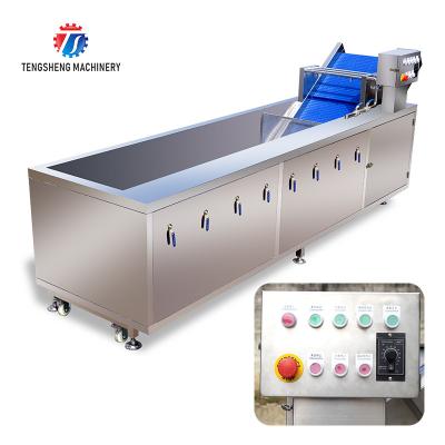 China 240KG 380V Automatic stainless steel fruit washing machine fruit cleaning equipment for sale