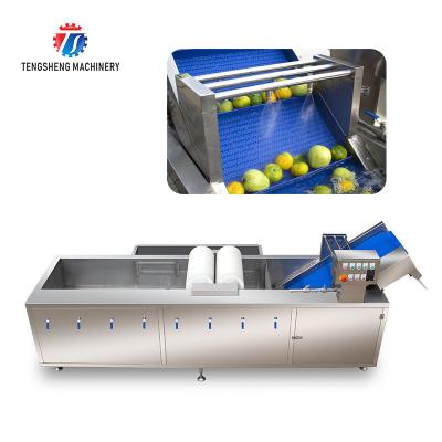 China 250KG Automatic sterilization washing machine commercial large stainless steel washing machine for sale