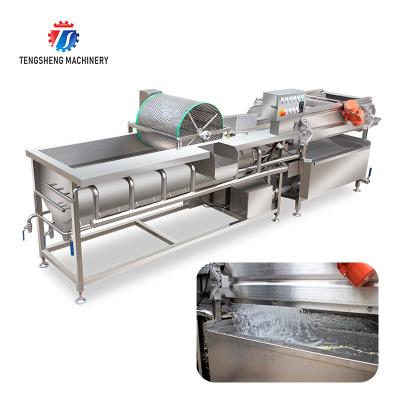 China 380V Eddy current water cleaning and draining machine stainless steel cleaning machine ginger washing machine for sale