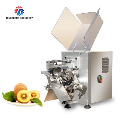 China 220V 35KG Recyclable Piercing Pitting Commercial Fruit Peeling Machine Apple paring onion for sale