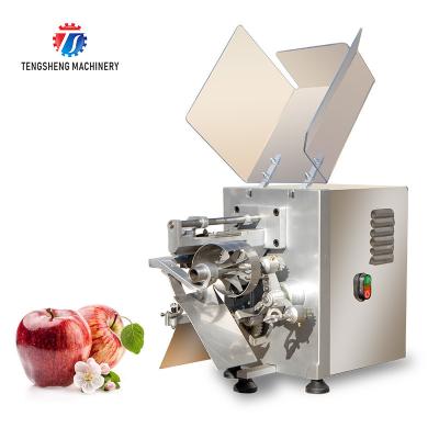 China 220V Custom Commercial Fruit Peeler , Electric Apple Peeler And Corer Machine Tengsheng for sale