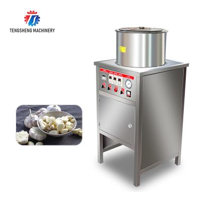 China 2.2KW Garlic Red Onion Peeling Machine Small Garlic Peeling Machine for sale