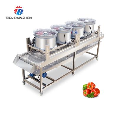 China 350KG Vegetable drain air drying machine stainless steel fruit and vegetable air drying complete equipment parallel type for sale