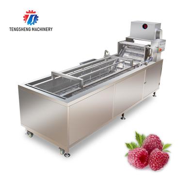 China 240KG Fruit Bubble High Pressure Spray Washing Machine 1500KG/H Multifunction for sale