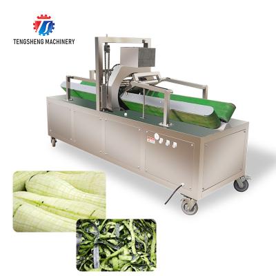 Chine Équipement horizontal végétal de cuisine de machine d'épluchage de courge de cire de melon d'hiver de 350KG 2.2KW à vendre