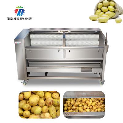 China 1500KG/H Sweet potato hair roller cleaning machine carrot automatic peeling cleaning potato peeling machine for sale