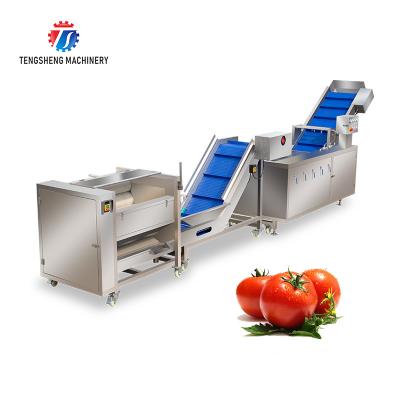 China Máquina de limpieza 800KG/H de la burbuja del rodillo del pelo de la fruta y verdura de los SS en venta