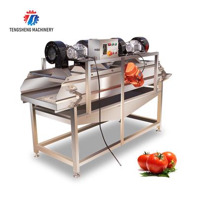 China OEM Potatoes Orange Fruit Drying Machine Leafy Vegetables Vibrating Air Dryer for sale