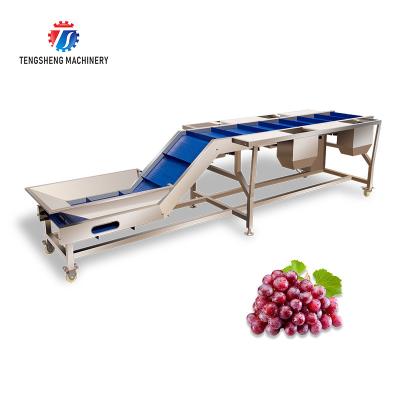 China Automatisches Blattgemüse und Frucht Pea Tomato Lifting Sorter Machine zu verkaufen