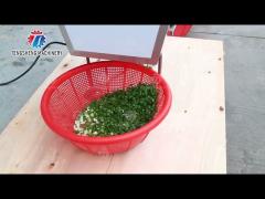 100KG/H Desktop Onion Chopper Cucumber Slicer Machine