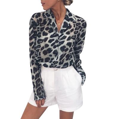 China New anti-pilling gtkzs fashion leopard print lapel with bottom women's v neck long sleeve blouse chiffon for sale