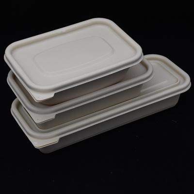 China Ambient and Wholesale Biodegradable Fast Food Box Disposable Cornstarch Plastic Disposable Lunch Box for sale