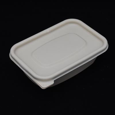 China Ambient and Biodegradable Rectangular Biodegradable Cornstarch Disposable Container Take Away Food Packaging Lunch Box for sale