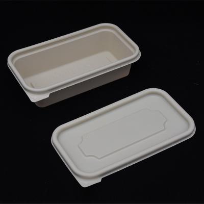 China Ambient and Biodegradable Disposable Lunch Box Disposable Lunch Box Disposable Lunch Box Salad Takeout Food Takeaway for sale