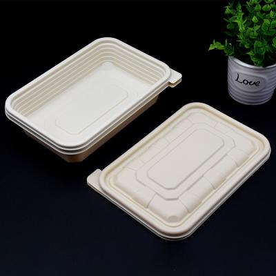 China Environmental and Biodegradable Disposable Bento Lunch Box Fast Food Disposable Lunch Box Take Out Lunch Box for sale