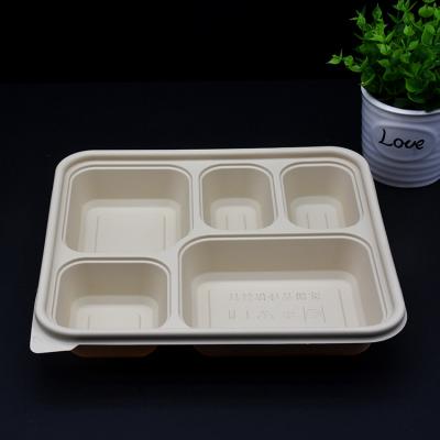 China Environmentally Friendly And Eco - Friendly Biodegradable Cornstarch Lunch Box Disposable 5 Compartment Multi - Square Takeout Food Box With Lid for sale