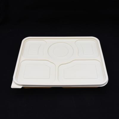 China Environmental and 5 Compartments Biodegradable Compostable Food Tray Disposable Food Container Lunch Box with Lid for sale