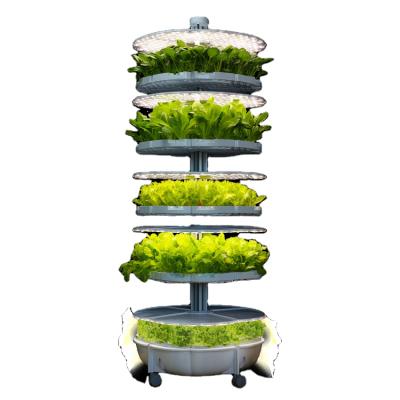 China Morden luxury hot sale indoor hydroponic growing system for vegetable hydroponic machines to grow air pots for sale