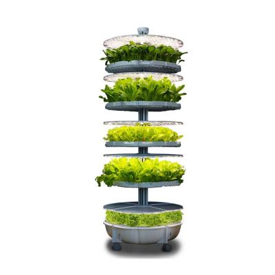 China Home Use Home Vegetable Grow System Indoor Lettuce To Grow Hydroponic Growing System for sale