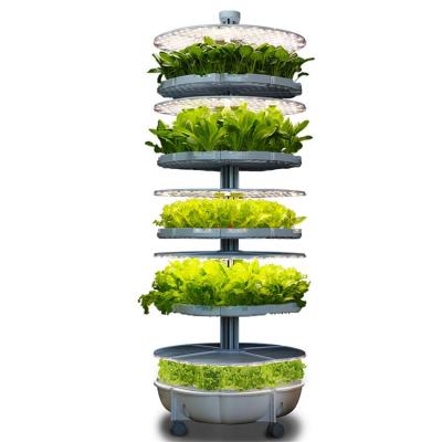 China Indoor Garden Home Soilless Hydroponic Systems 5 Layers 48 Holes Vertical Plant Grow Box With LED Light for sale