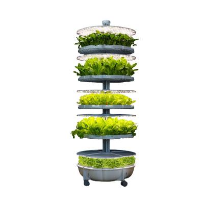 China Home Growing Systems Indoor Hydroponic Vegetable Hydroponic Growing Systems Strawberry for sale