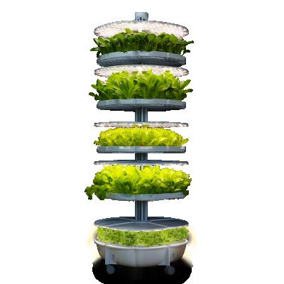 China Home Indoor Smart Home Smart Growing Hydroponic Growing Greens With Touch Screen for sale