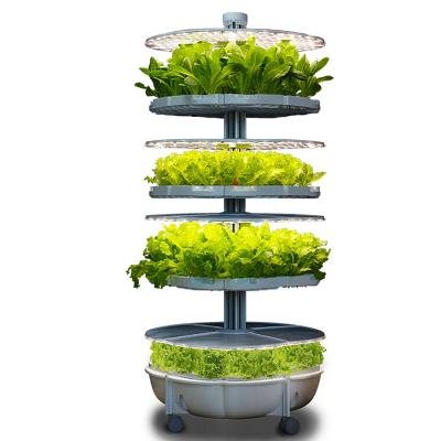 China Desktop Machine Vegetable Hydroponic Vegetable Seed Hydroponic Vegetable Seeding Hydroponics for sale