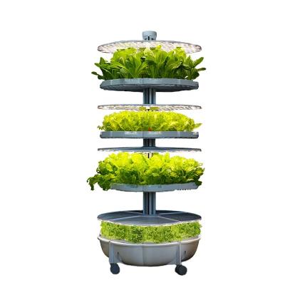 China Desktop Commercial Hydroponic Lettuce Growing Systems Hydroponic Growing Systems For Tomatoes for sale