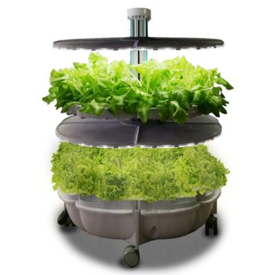 China Indoor Office Hydroponic Smart Home Growing Greens With Vegetable Touch Screen LT-2 for sale