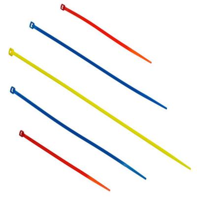 China Eco - Friendly Made In China Reusable Colored Plastic Nylon Cable Ties for sale