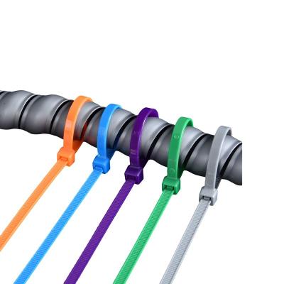 China Drilling and Pulling 2021 New Colored Cable Ties Self-locking Plastic Nylon Side Strap Cable Tie Double Side Strap for sale