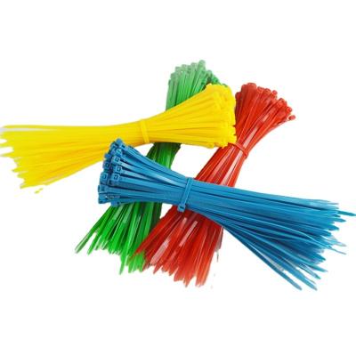 China Eco - Friendly Self - Locking Nylon Cable Ties Color Plastic Ties Ties 3.6*300 for sale