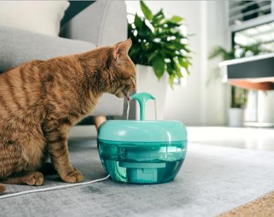 China Pawoof Automatic Cat Drinking Fountain with One Layer Powerful Filter Hot Selling Cat Water Station Five Star KAT Fountain for sale